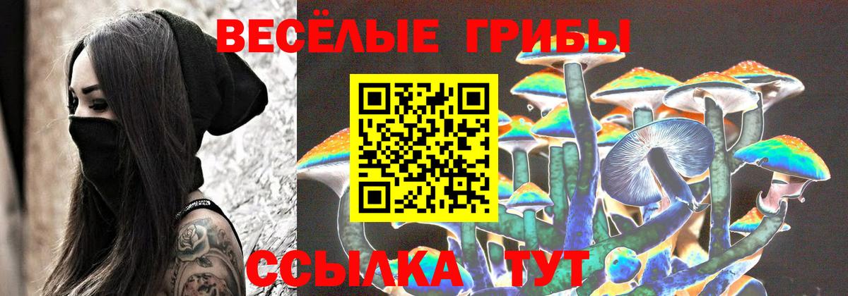 Галлюциногенные грибы GOLDEN TEACHER Усть-Илимск