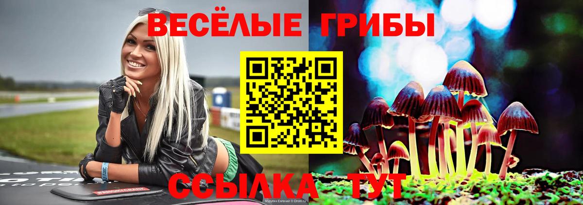 Псилоцибиновые грибы MAGIC MUSHROOMS  купить наркоту  Усть-Илимск  Вход с VPN 